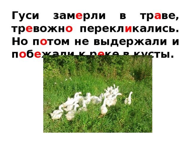 Прочитай белый