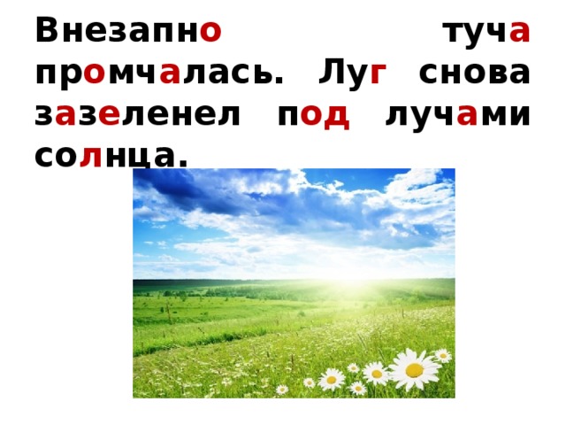 Внезапн о туч а пр о мч а лась. Лу г снова з а з е ленел п од луч а ми со л нца.