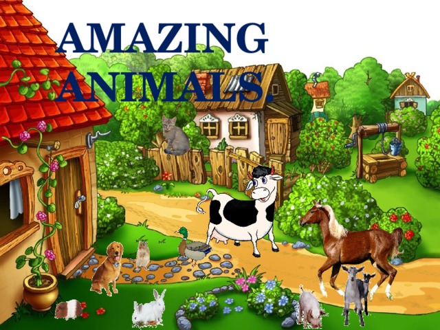 AMAZING ANIMALS.
