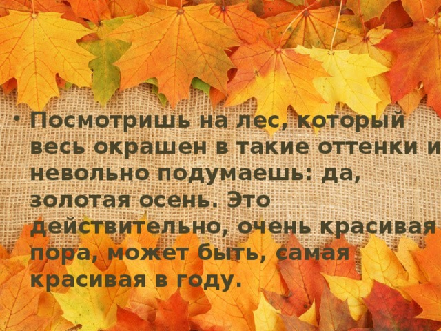 Посмотришь на лес, который весь окрашен в такие оттенки и невольно подумаешь: да, золотая осень. Это действительно, очень красивая пора, может быть, самая красивая в году.