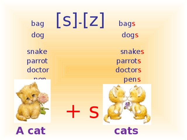 bag [s] - [z] bag s  dog dog s     snake  snake s  parrot  parrot s   doctor  doctor s  pen pen s    + s A cat cats