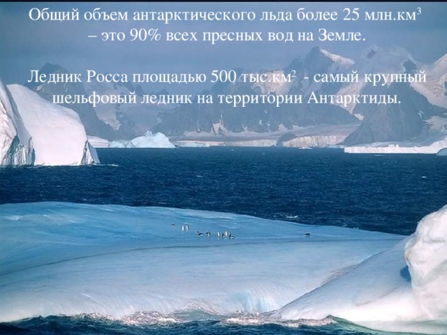 Общий объем антарктического льда более 25 млн.км 3  – это 90% всех пресных вод на Земле. Ледник Росса площадью 500 тыс.км 2 - самый крупный шельфовый ледник на территории Антарктиды.