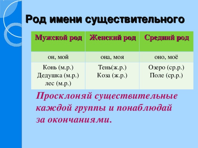 Презентация род имен существительных 5 класс разумовская