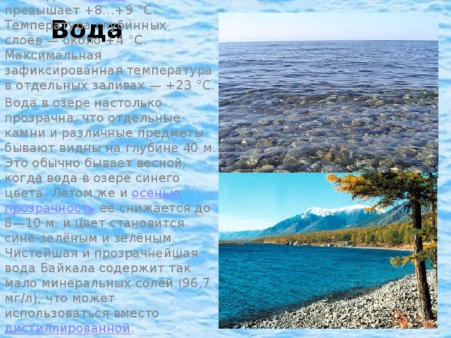 Вода Вода в Байкале холодная.  Температура  поверхностных слоёв даже  летом  не превышает +8…+9 °C. Температура глубинных слоёв — около +4 °C. Максимальная зафиксированная температура в отдельных заливах — +23 °C. Вода в озере настолько прозрачна, что отдельные камни и различные предметы бывают видны на глубине 40 м. Это обычно бывает весной, когда вода в озере синего цвета. Летом же и  осенью ,   прозрачность  её снижается до 8—10 м, и цвет становится сине-зелёным и зелёным. Чистейшая и прозрачнейшая вода Байкала содержит так мало минеральных солей (96,7 мг/л), что может использоваться вместо  дистиллированной .
