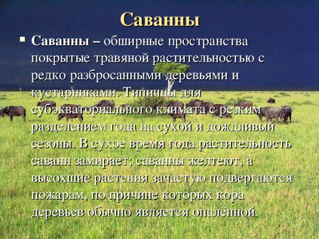 Саванны