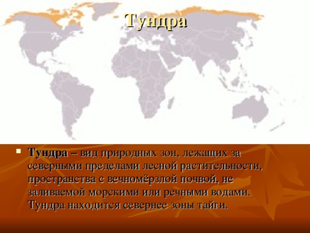 Тундра