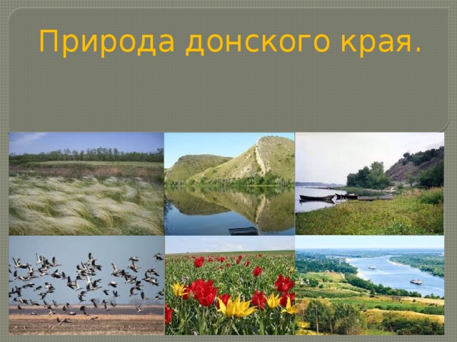 Природа донского края.