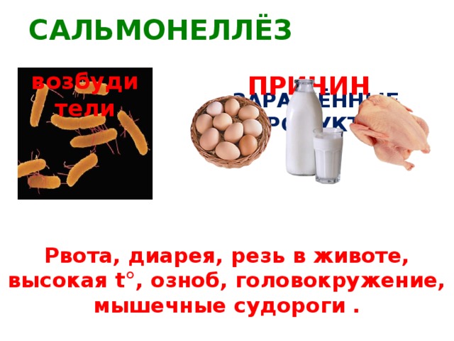 САЛЬМОНЕЛЛЁЗ возбудители ПРИЧИНЫ ЗАРАЖЁННЫЕ ПРОДУКТЫ САЛЬМОНЕЛЛЫ Рвота, диарея, резь в животе, высокая t°, озноб, головокружение, мышечные судороги .