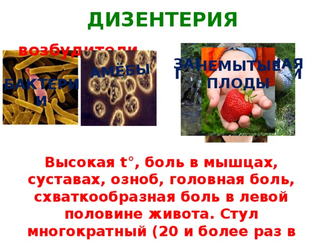 АМЁБЫ ДИЗЕНТЕРИЯ возбудители ПРИЧИНЫ ЗАГРЯЗНЁННАЯ ВОДА НЕМЫТЫЕ ПЛОДЫ ГРЯЗНЫЕ РУКИ БАКТЕРИИ Высокая t°, боль в мышцах, суставах, озноб, головная боль, схваткообразная боль в левой половине живота. Стул многократный (20 и более раз в день) со слизью и кровью.