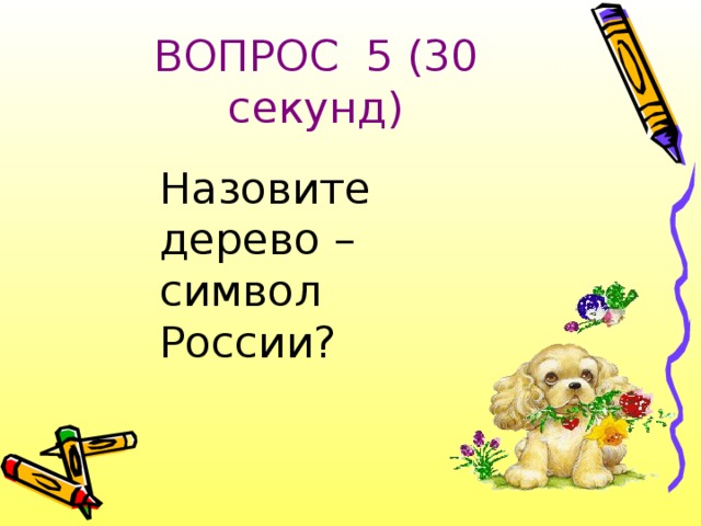 ВОПРОС 5 (30 секунд) Назовите дерево – символ России?