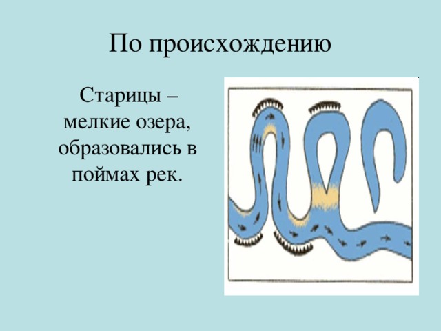 По происхождению  Старицы – мелкие озера, образовались в поймах рек.