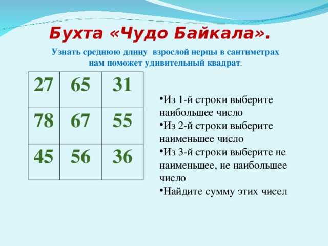 Бухта «Чудо Байкала». Узнать среднюю длину взрослой нерпы в сантиметрах нам поможет удивительный квадрат . 27 65 78 31 67 45 56 55 36