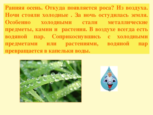 Ранняя осень. Откуда появляется роса? Из воздуха. Ночи стояли холодные . За ночь остудилась земля. Особенно холодными стали металлические предметы, камни и растения. В воздухе всегда есть водяной пар. Соприкоснувшись с холодными предметами или растениями, водяной пар превращается в капельки воды.