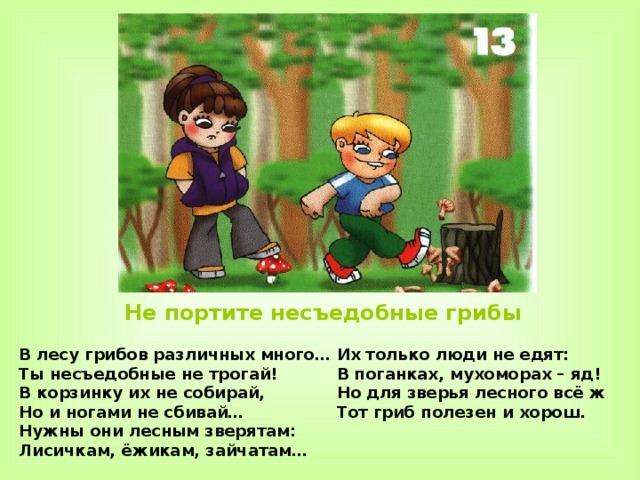 Не портите несъедобные грибы В лесу грибов различных много… Ты несъедобные не трогай! В корзинку их не собирай, Но и ногами не сбивай… Нужны они лесным зверятам: Лисичкам, ёжикам, зайчатам… Их только люди не едят: В поганках, мухоморах – яд! Но для зверья лесного всё ж Тот гриб полезен и хорош.