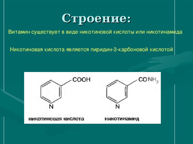 Витамин существует в виде никотиновой кислоты или никотинамида  Никотиновая кислота является пиридин-3-карбоновой кислотой