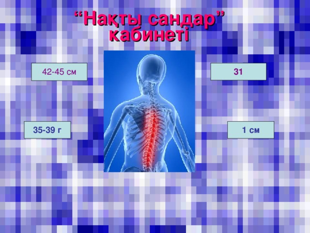 “ Нақты сандар” кабинеті 31  42-45 см 35-39 г  1 см