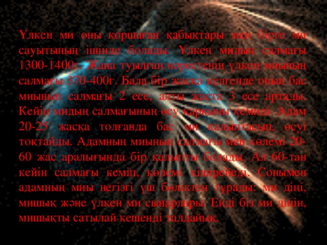 Үлкен ми оны қоршаған қабықтары мен бірге ми сауытының ішінде болады. Үлкен мидың салмағы 1300-1400г. Жаңа туылған нәрестенің үлкен миының салмағы 370-400г. Бала бір жасқа келгенде оның бас миының салмағы 2 есе, алты жаста 3 есе артады. Кейін мидың салмағының өсу қарқыны кемиді. Адам 20-25 жасқа толғанда бас ми қалыптасып, өсуі тоқтайды. Адамның миының салмағы мен көлемі 20-60 жас аралығында бір қалыпты болады. Ал 60-тан кейін салмағы кеміп, көлемі кішірейеді. Сонымен адамның миы негізгі үш бөліктен тұрады: ми діңі, мишық және үлкен ми сыңарлары. Енді біз ми діңін, мишықты сатылай кешенді талдайық.