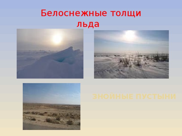 знойные пустыни   Белоснежные толщи льда