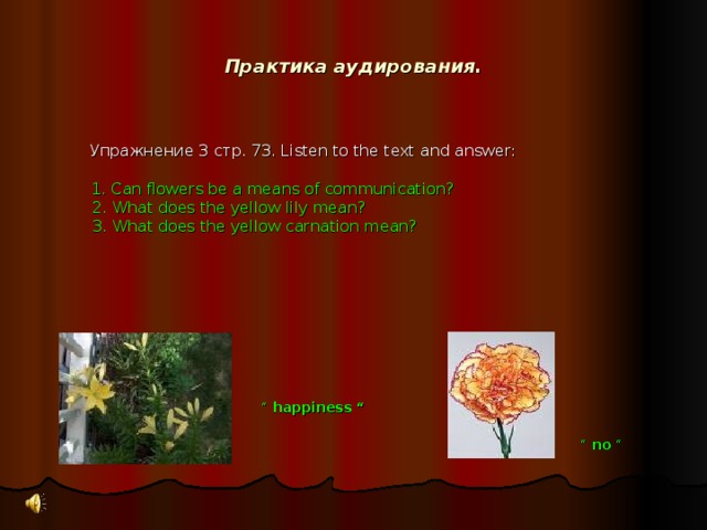 Практика аудирования.  Упражнение 3 стр. 73. Listen to the text and answer:  1. Can flowers be a means of communication?  2. What does the yellow lily mean?  3. What does the yellow carnation mean?    “ happiness “ “  no “