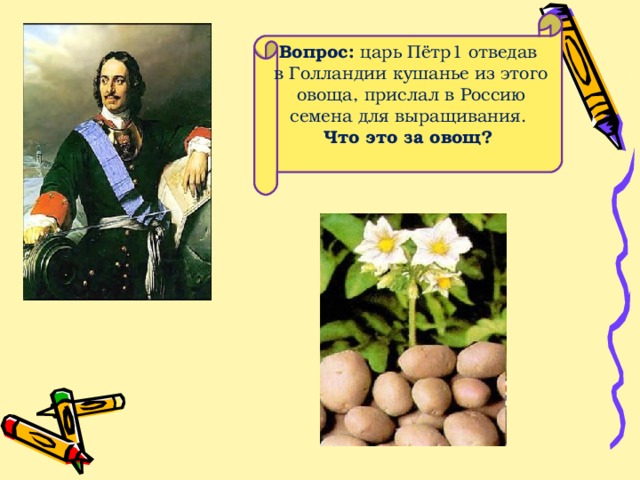 Вопрос: царь Пётр1 отведав  в Голландии кушанье из этого  овоща, прислал в Россию семена для выращивания. Что это за овощ?