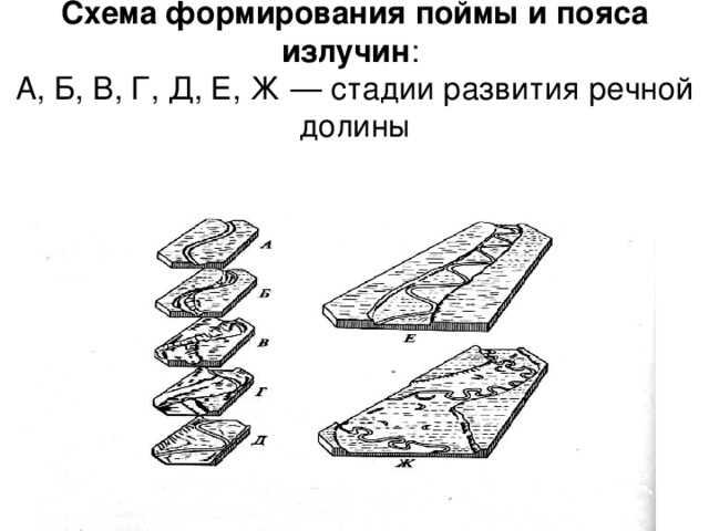 Схема формирования поймы и пояса излучин :  А, Б, В, Г, Д, Е, Ж — стадии развития речной долины