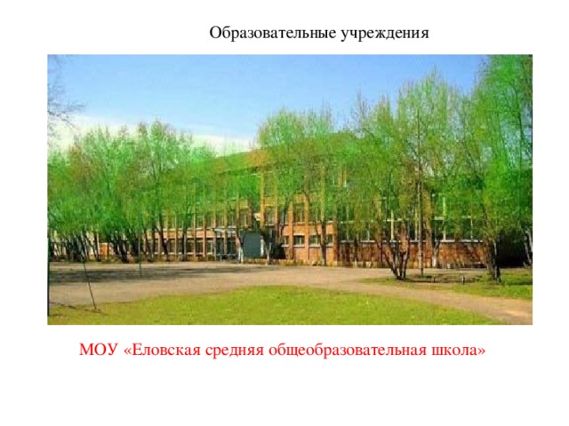 Образовательные учреждения МОУ «Еловская средняя общеобразовательная школа»