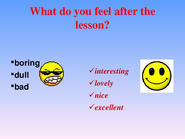 What do you feel after the lesson? boring dull bad    interesting lovely nice excellent