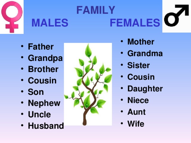 FAMILY  MALES FEMALES