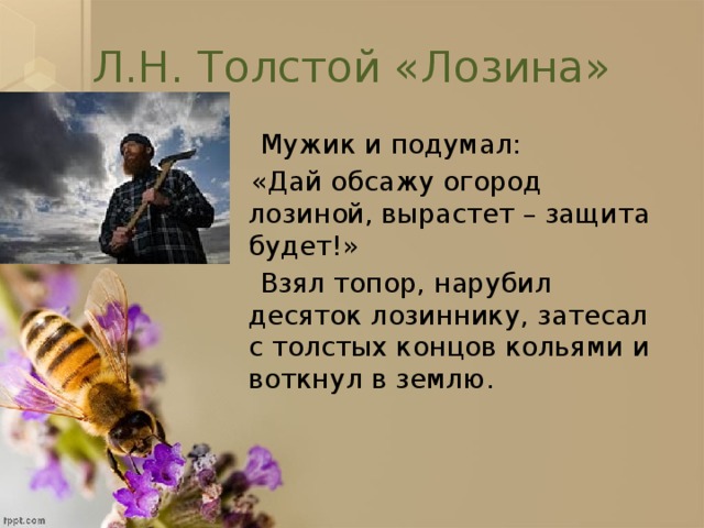 Л.Н. Толстой «Лозина»  Мужик и подумал:  «Дай обсажу огород лозиной, вырастет – защита будет!»  Взял топор, нарубил десяток лозиннику, затесал с толстых концов кольями и воткнул в землю.