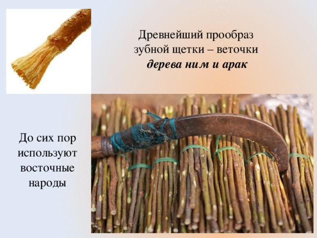 Древнейший прообраз  зубной щетки – веточки  дерева ним и арак До сих пор используют восточные народы