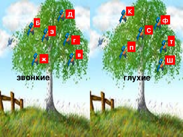 К Д ф Б С з г т п в ж Ш звонкие глухие