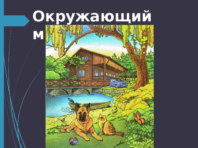 Окружающий мир