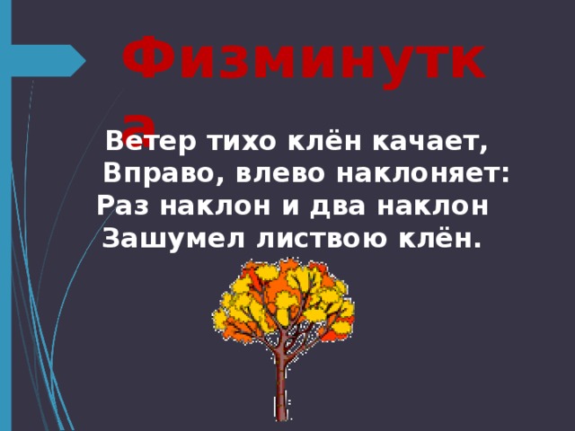 Физминутка  Ветер тихо клён качает,  Вправо, влево наклоняет:  Раз наклон и два наклон  Зашумел листвою клён.