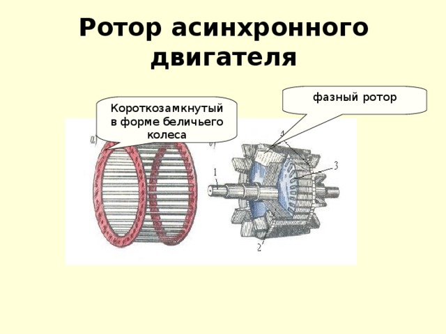 Ротор асинхронного двигателя фазный ротор Короткозамкнутый в форме беличьего колеса