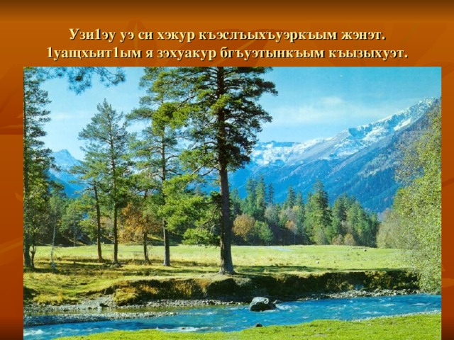 Учебно-методическая разработка "Си Хэку" - начальные классы, презентации