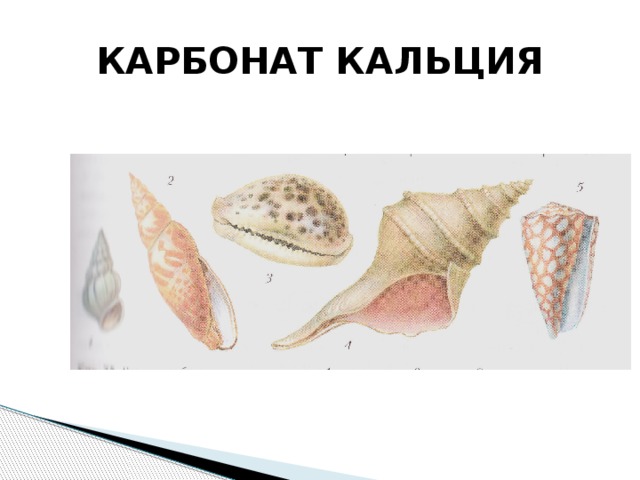 КАРБОНАТ КАЛЬЦИЯ