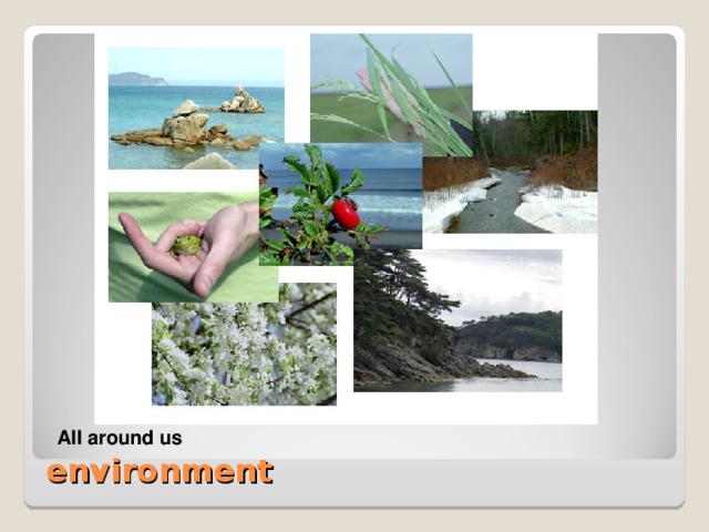 Our forests, rivers, animals, birds and other living things All around us  environment