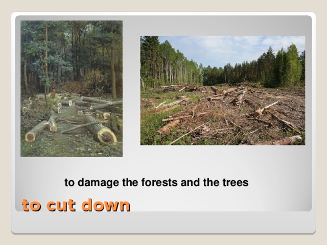 to damage the forests and the trees to damage the forests and the trees  to cut down