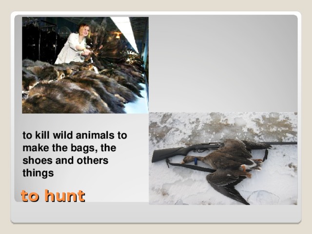 to kill wild animals to make the bags, the shoes and others things  to kill wild animals to make the bags, the shoes and others things to hunt