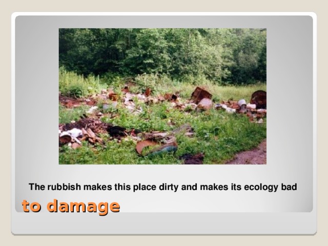 The rubbish makes this place dirty and makes its ecology bad to damage The rubbish makes this place dirty and makes its ecology bad