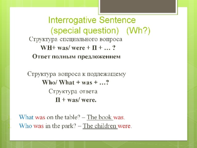 Interrogative Sentence  (special question) (Wh?)