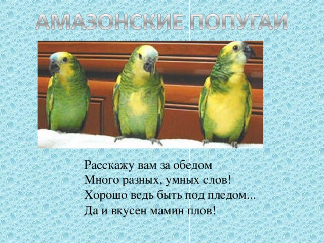 Расскажу вам за обедом  Много разных, умных слов!  Хорошо ведь быть под пледом...  Да и вкусен мамин плов!