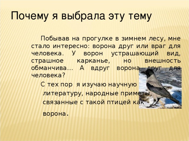 Почему я выбрала эту тему Побывав на прогулке в зимнем лесу, мне стало интересно: ворона друг или враг для человека. У ворон устрашающий вид, страшное карканье, но внешность обманчива… А вдруг ворона друг для человека? С тех пор я изучаю научную  литературу, народные приметы,  связанные с такой птицей как  ворона .