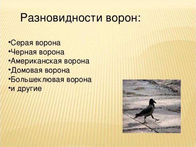 Ворона литературное чтение 3 класс. Стих про ворону описание. Серая ворона стихотворение. Стихотворение о вороне 3 класс. Систематическое положение вороны.