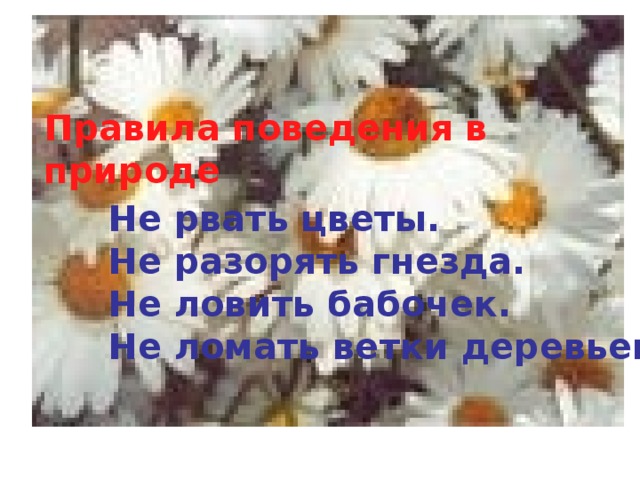 Правила поведения в природе Не рвать цветы. Не разорять гнезда. Не ловить бабочек. Не ломать ветки деревьев