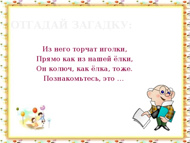 Отгадай загадку: Из него торчат иголки, Прямо как из нашей ёлки, Он колюч, как ёлка, тоже. Познакомьтесь, это …