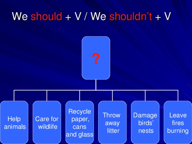 We should + V / We shouldn’t + V ? Help  animals Care for  wildlife Recycle  paper,  cans and glass Leave  fires burning Damage  birds’  nests Throw away  litter