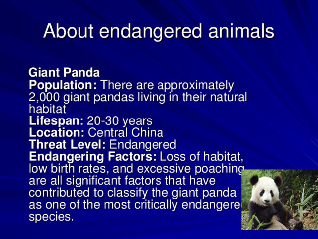 About endangered animals   Giant Panda    Population:  There are approximately 2,000 giant pandas living in their natural habitat   Lifespan:  20-30 years   Location:  Central China   Threat Level:  Endangered  Endangering Factors:  Loss of habitat, low birth rates, and excessive poaching are all significant factors that have contributed to classify the giant panda as one of the most critically endangered species.