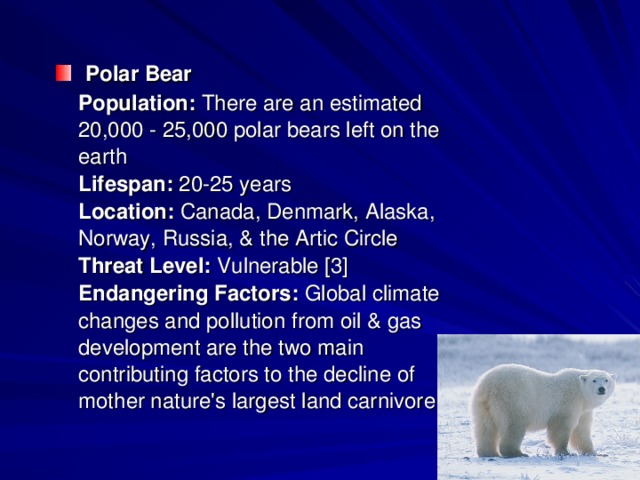 Polar Bear    Population:  There are an estimated 20,000 - 25,000 polar bears left on the earth   Lifespan:  20-25 years   Location:  Canada, Denmark, Alaska, Norway, Russia, & the Artic Circle   Threat Level:  Vulnerable [3]   Endangering Factors:  Global climate changes and pollution from oil & gas development are the two main contributing factors to the decline of mother nature's largest land carnivore.