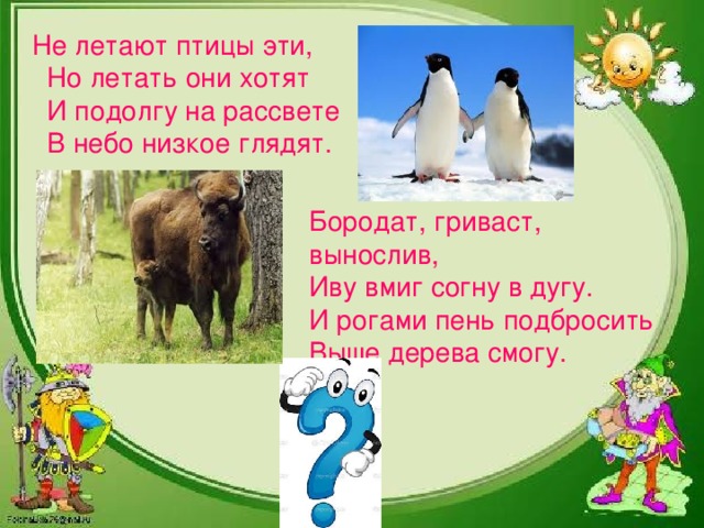 Не летают птицы эти,  Но летать они хотят  И подолгу на рассвете  В небо низкое глядят. Бородат, гриваст, вынослив, Иву вмиг согну в дугу. И рогами пень подбросить Выше дерева смогу.